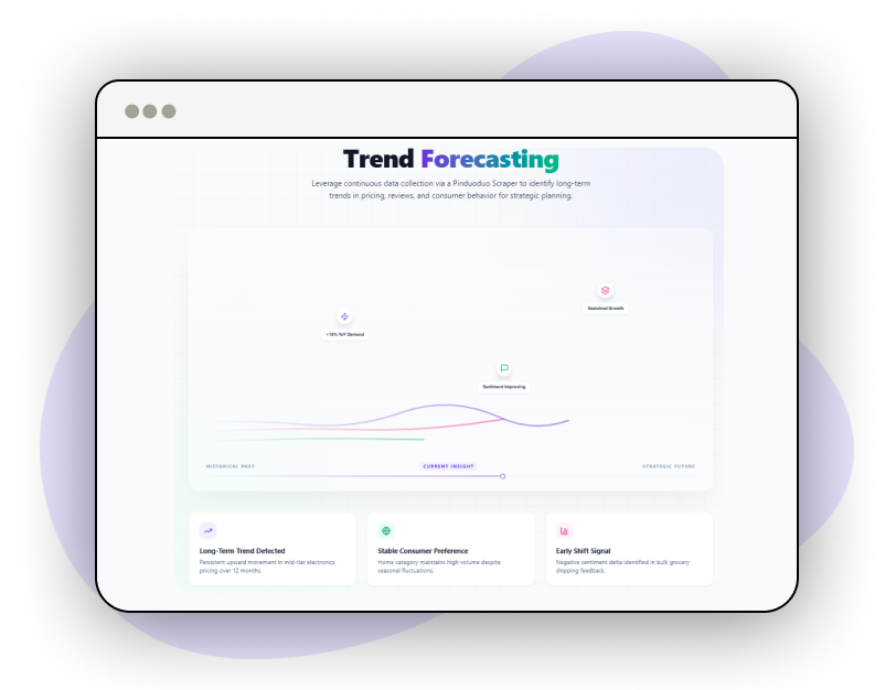Custom-Reports-and-Analytics
